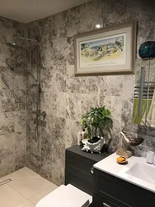 Premium Tek Büyük Yataklı Oda (Ensuite )