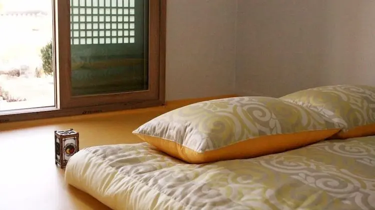 Basic Oda (Japanese apricot flower)