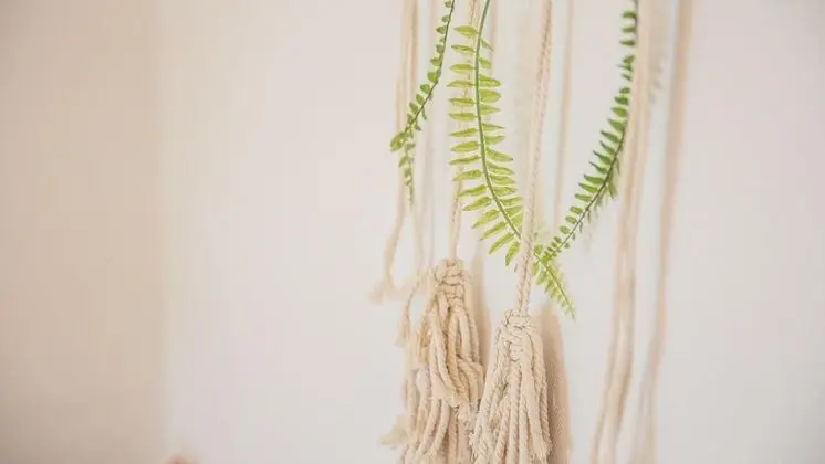 Basic Oda, 1 Yatak Odası (207(with Pet,2nd floor))