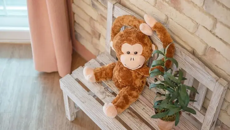 Basic Oda, 1 Yatak Odası (207(with Pet,2nd floor))