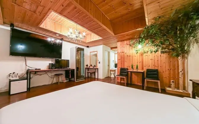 Oda (Deluxe Boutique Double (Netflix avail)