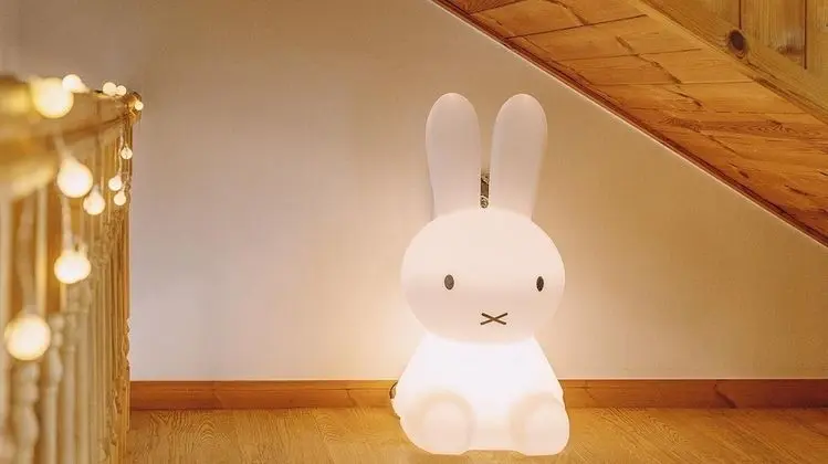 Basic Oda, 2 Yatak Odası (ROOM-1)