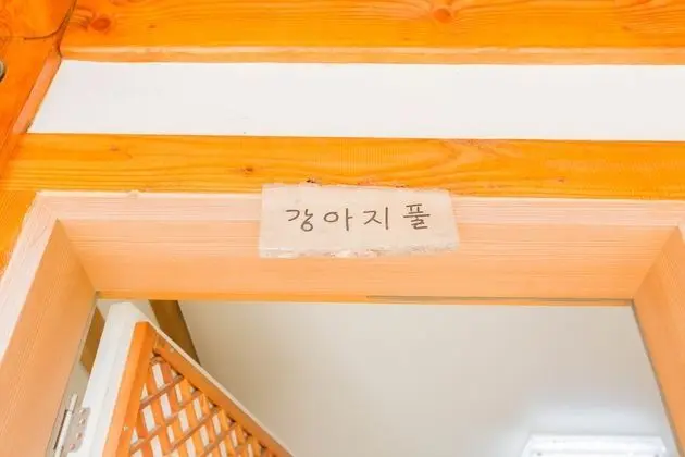 Standard Oda (Gangajipul)