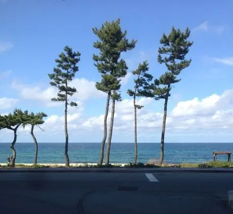 Family Üç Kişilik Oda, Kısmi Deniz Manzarası