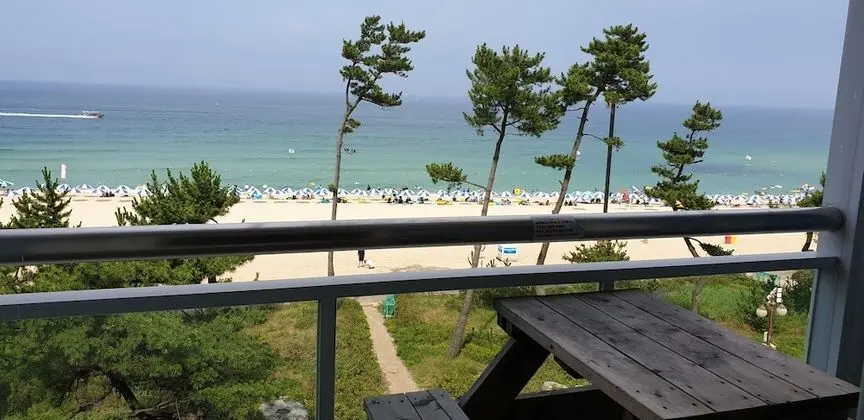 Basic Tek Büyük Yataklı Oda, Okyanus Manzaralı