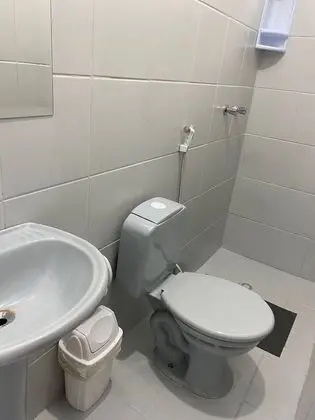 Süit