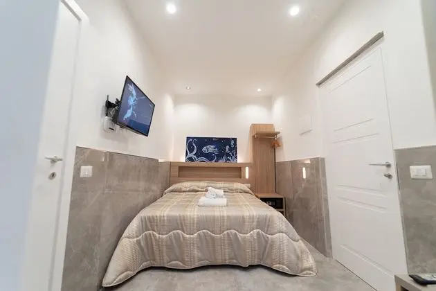 Standard Tek Büyük Yataklı Oda, Avlu Manzaralı