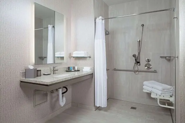 Deluxe Oda, 2 Büyük (Queen) Boy Yatak, Engellilere Uygun (Roll-in Shower)