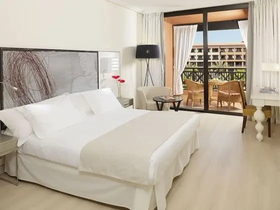 Superior Tek Büyük Yataklı Oda (2 Adults)