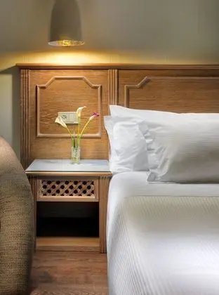 Tek Büyük Yataklı Oda (2 people)