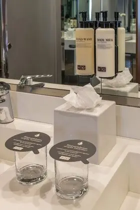 Premium Tek Büyük veya İki Ayrı Yataklı Oda, Şehir Manzaralı, Executive Katı