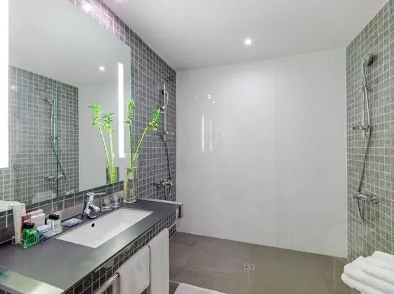 Premium Tek Büyük veya İki Ayrı Yataklı Oda, Şehir Manzaralı, Executive Katı
