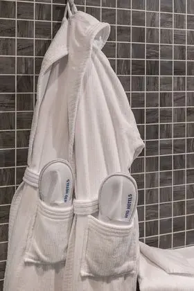 Süit