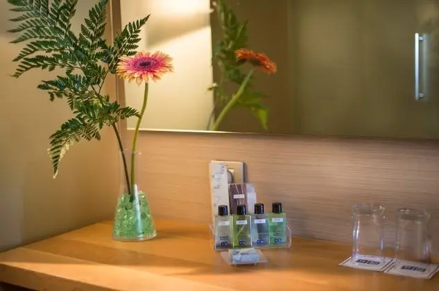 Superior Büyük Yataklı Tek Kişilik Oda (Deluxe)