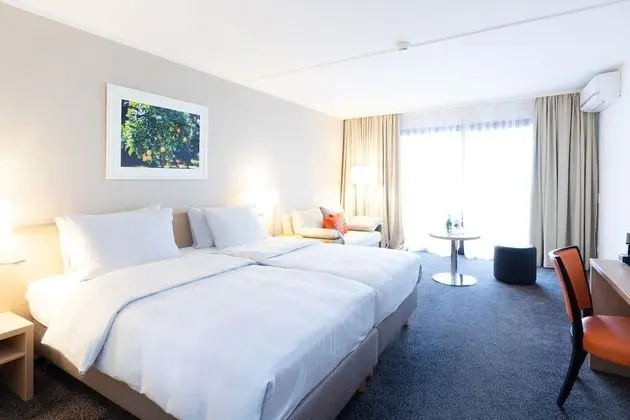 Deluxe Tek Büyük Yataklı Oda, Göl Manzaralı