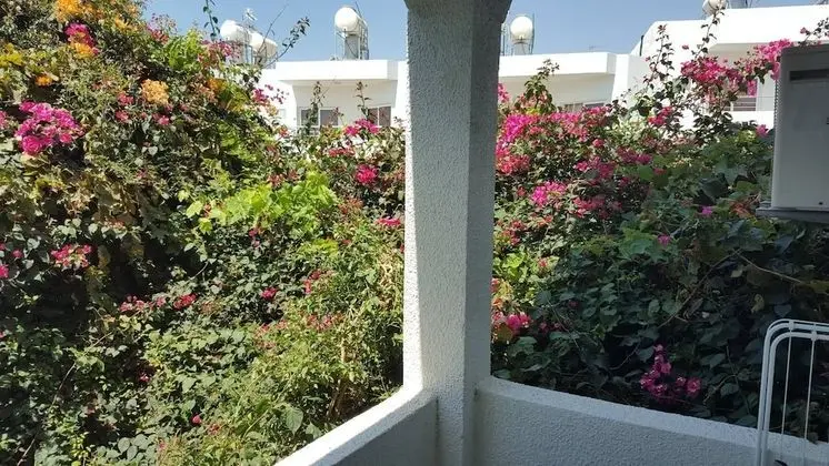 Exclusive Apart Daire, 2 Yatak Odası, Okyanus Manzaralı