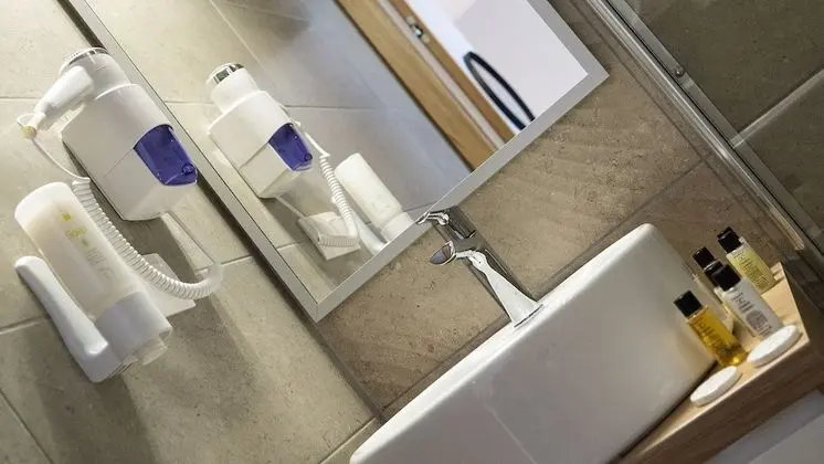 Deluxe Tek Büyük veya İki Ayrı Yataklı Oda