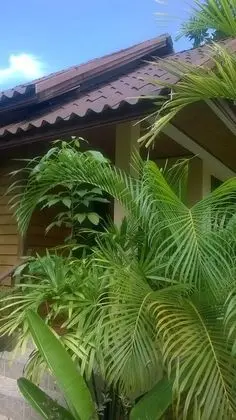 Bungalov