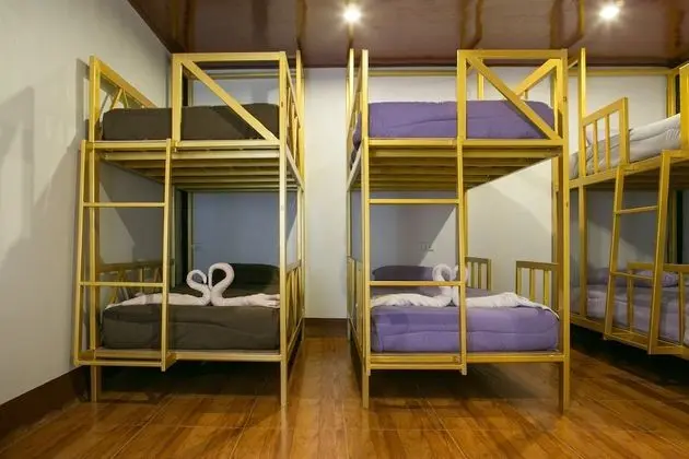 Bunk Bed in a Mixed Dormitory