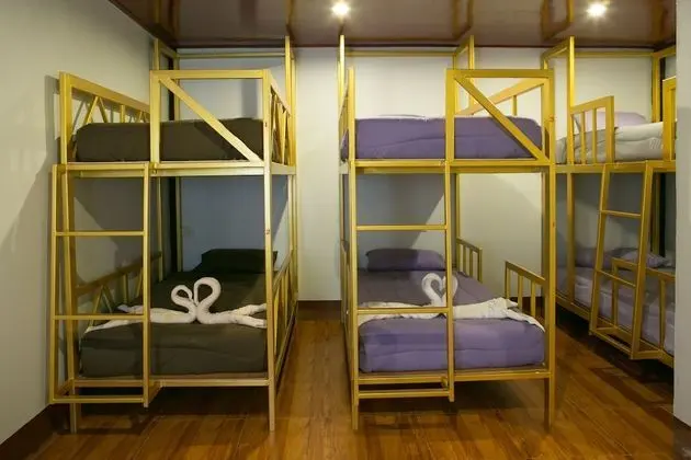 Bunk Bed in a Mixed Dormitory