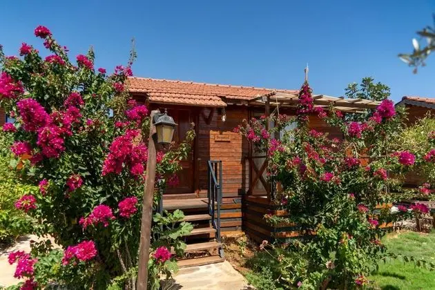 Çift Kişilik, Havuz Manzaralı, Balkonlu
