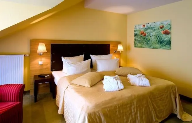 Tek Büyük Yataklı Oda (Badehaus)