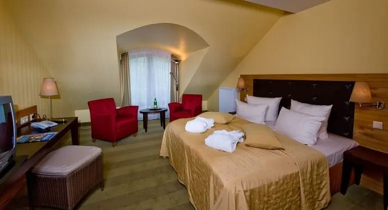 Tek Büyük Yataklı Oda (Badehaus)