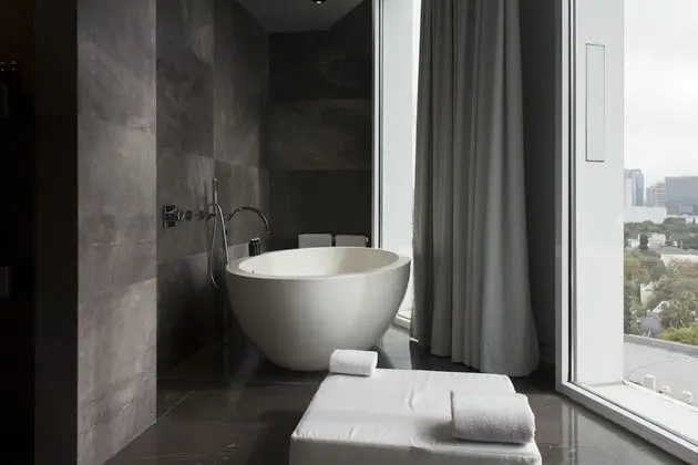 Çatı Katı Süiti (Penthouse)