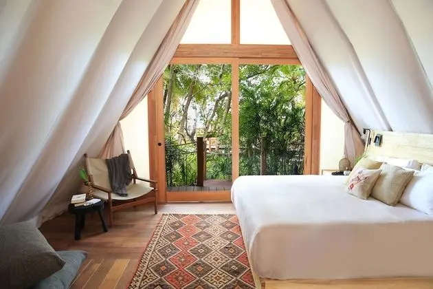Mangrove Room
