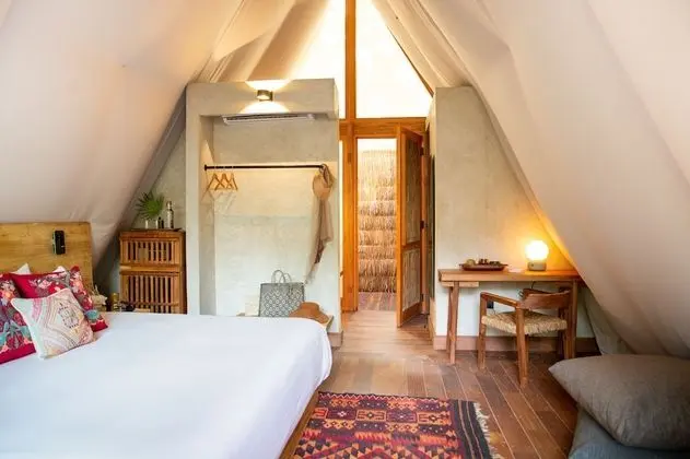 Mangrove Room