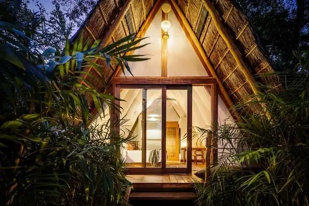 Mangrove Room