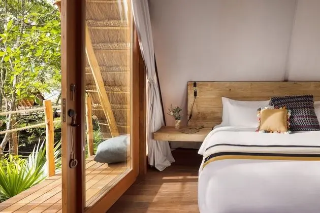Mangrove Room