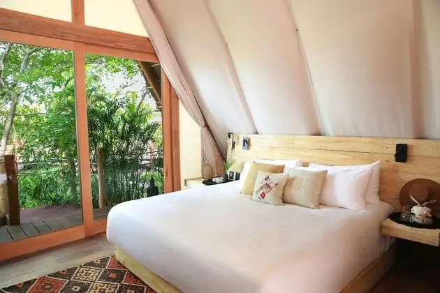 Mangrove Room