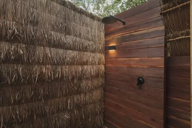 Mangrove Room
