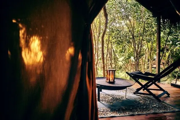 Jungle Room