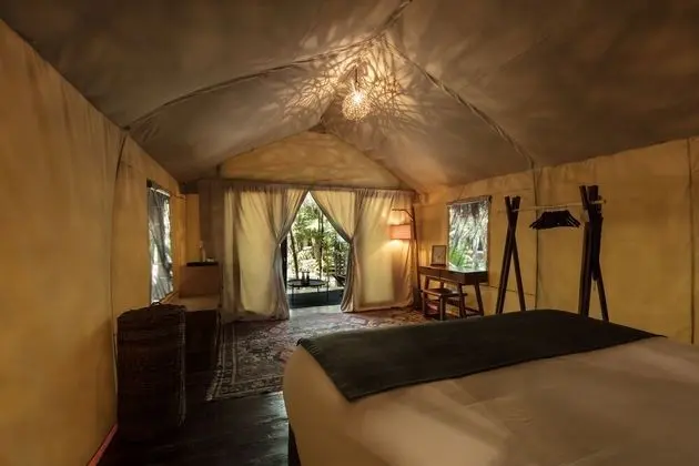 Jungle Room