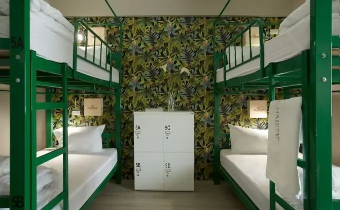 4 Bed Mixed Dorm Room