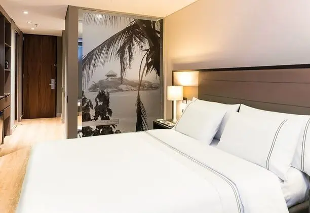 Premium Tek Büyük Yataklı Oda, 1 Büyük (Queen) Boy Yatak