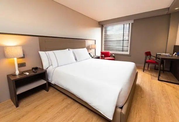 Premium Tek Büyük Yataklı Oda, 1 Büyük (Queen) Boy Yatak