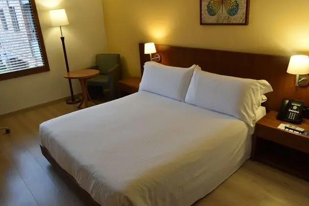 Standard Tek Büyük Yataklı Oda, 1 Büyük (Queen) Boy Yatak