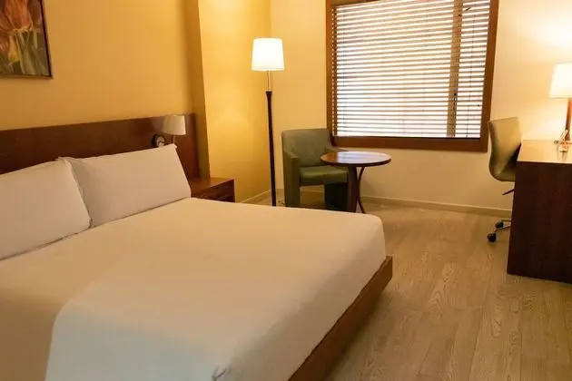 Standard Tek Büyük Yataklı Oda, 1 Büyük (Queen) Boy Yatak