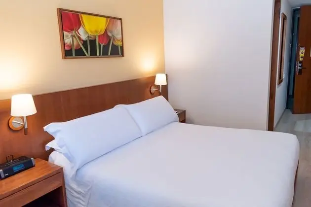 Standard Tek Büyük Yataklı Oda, 1 Büyük (Queen) Boy Yatak