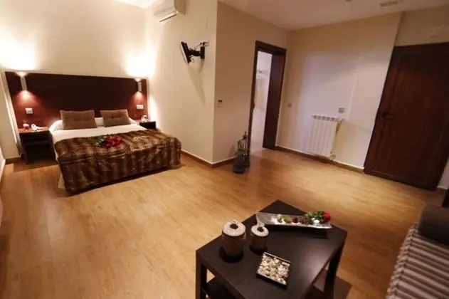 Premium Tek Büyük Yataklı Oda, 1 Yatak Odası