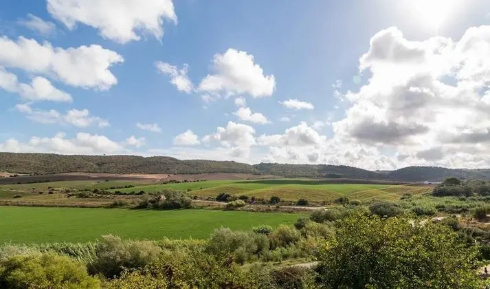Traditional Tek Büyük veya İki Ayrı Yataklı Oda