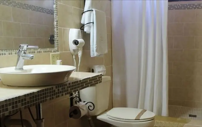 Traditional Oda, 1 Tek Kişilik XL Yatak, Engellilere Uygun, Bahçe Manzaralı