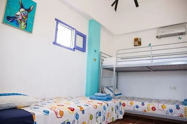 Standard Apart Daire, 1 Yatak Odası, Teras