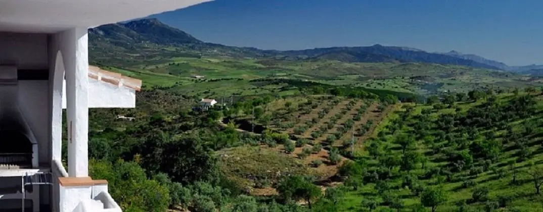 Standard Apart Daire, 1 Yatak Odası, Teras