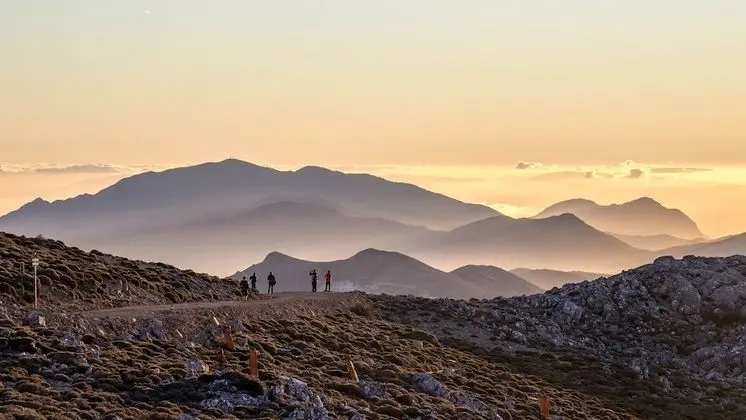 Standard Apart Daire, 1 Yatak Odası, Teras