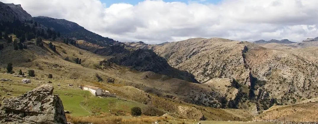 Standard Apart Daire, 1 Yatak Odası, Teras