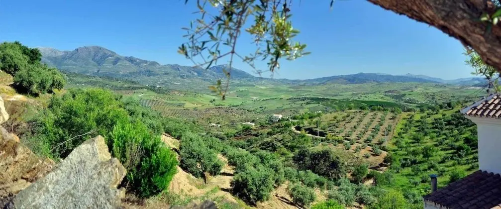 Superior Apart Daire, 2 Yatak Odası, Teras